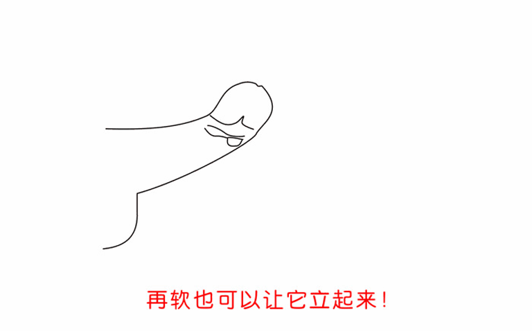 勃乐阴茎支架